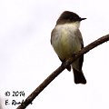 20Dec-CBC 563